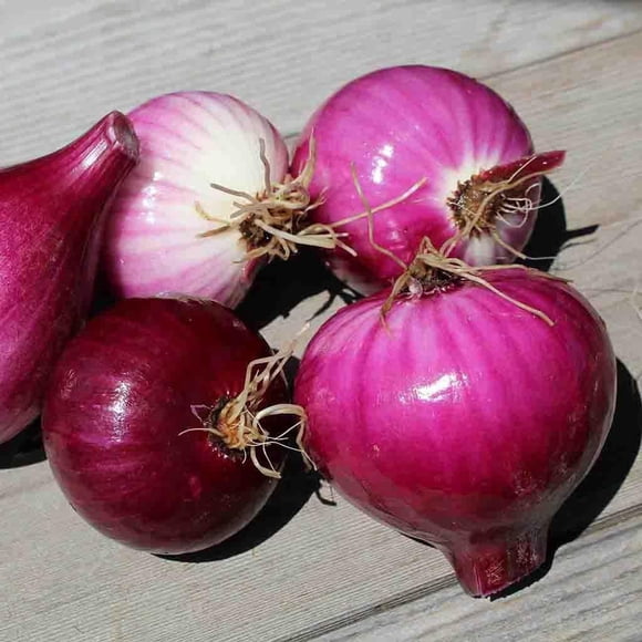 GSDWIUEW Three Mo Garden Red Burgundy Onion Seeds (100 Seeds) Vegetables Seeds for Home Garden Outdoor