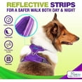 thumbnail image 4 of Katziela Dog Harness Walking Kit and Leash Set in Purple Large for Dogs Pack 1, 4 of 7