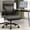 Brown, variant on Dhole Executive Ergonomic Office Chair - High Back Mesh Desk Chair with Lumbar Support, 4D Armrests, Tilt Function & Breathable Mesh for Home Office (Black)