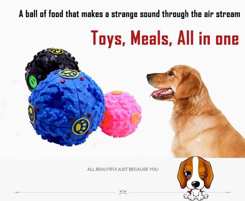 dog iq toys