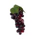 thumbnail image 5 of Figura de uva artificial, modelo de fruta de simulación, accesorio educativo, decoración de exhibición de cocina, adorno de modelo de fruta de 36 uvas moradas, 5 of 8