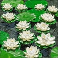 thumbnail image 7 of Duslogis 12 Pcs Artificial Floating Pool Flowers,4in Fake Water Lily Pads Flowers, Lotus Flower Floating Pool Decorations, White, 7 of 7