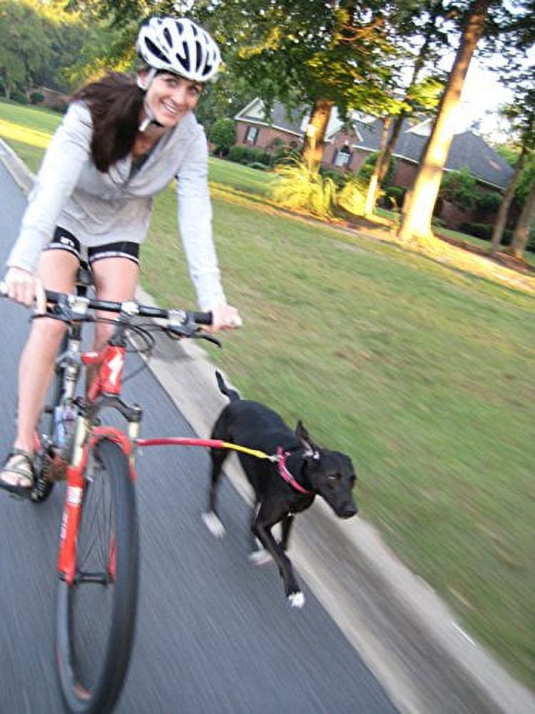Bike tow leash canada cheap