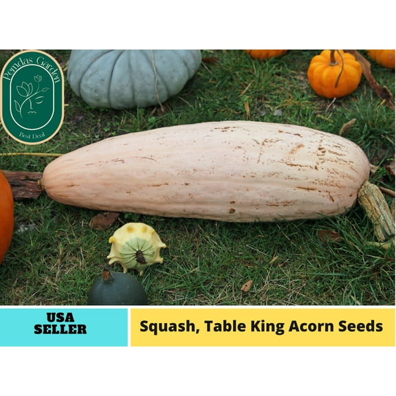 30 Seeds| Squash Seeds, Pink Banana Winter - Authentic Seeds ~ GMO Free~Seeds~Flower seeds~ Vegetable seeds~ Asian Garden~Herbs B5G1 #7037