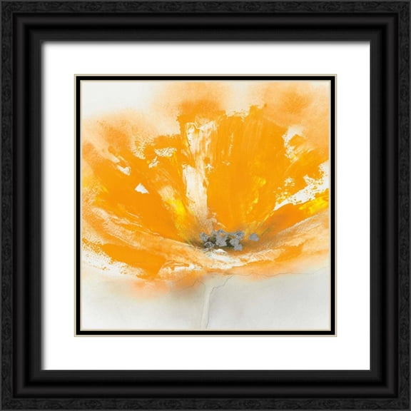 Prior, J.P. 15x15 Black Ornate Wood Framed with Double Matting Museum Art Print Titled - Wild Orange Sherbet II