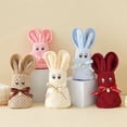 thumbnail image 1 of Set de toalla de mano para conejito polar de Pascua – Vellón coral suave 40x30cm, toallas de baño y cocina decorativas absorbentes, detalle de conejo para fiesta navideña mono, 1 of 5