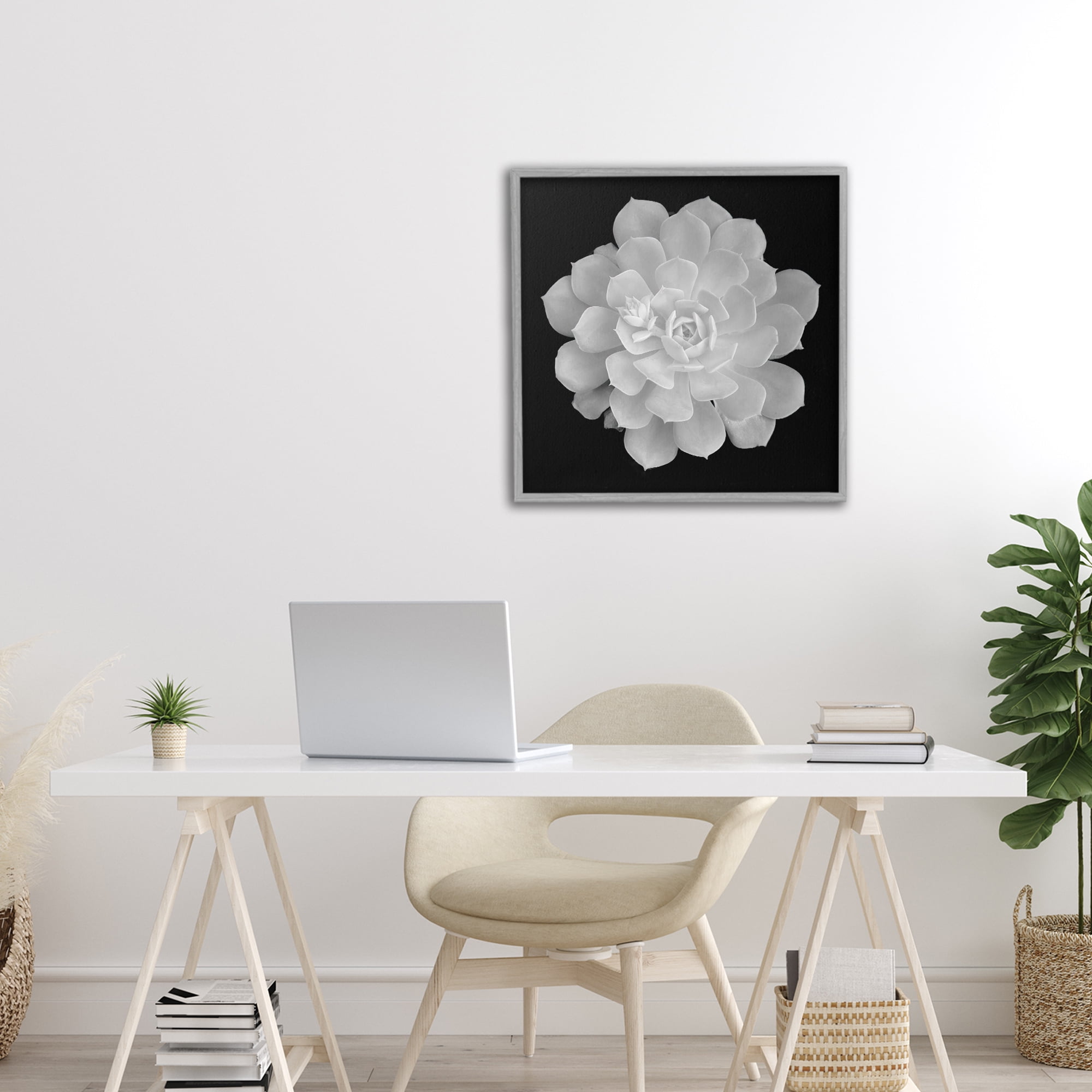 Pure White Succulent Contrast Gray Framed Giclee Art, design by Phillip Flowers