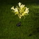 thumbnail image 1 of Lámpara De Pie De Jardín De Plástico Luces Solares De Simulación De Flores Con 42 Led Blancos Cálidos, Impermeables, Para Jardín Al Aire Libre, Decoración De Césped, Blanco, 73cm (1 Unidad) Rkxzt, 1 of 8