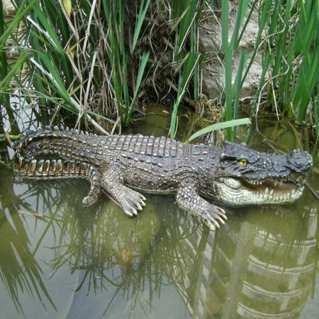 UPC 738362001235 product image for Hi-Line Gift Ltd. Crocodile Floater Garden Statue - Gray | upcitemdb.com