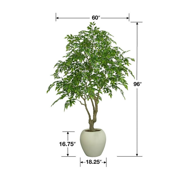 【FICUS】 Design your Indoor Living Space, With Ficus Burgundy Tree