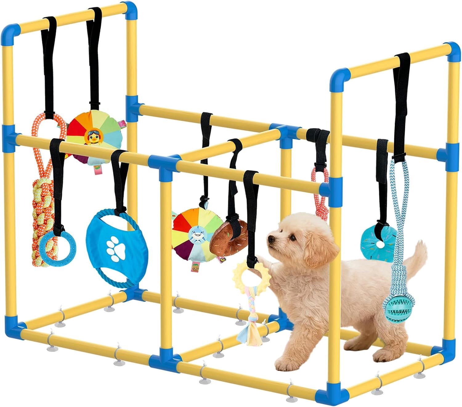 Play Gym for Small Dogs with PVC Frame, 10 Hanging Toys & Stretchy Ropes for Indoor Enrichment Activity