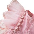 thumbnail image 5 of Vestido de verano para niñas de 1, 2, 3, 4 y 5 años, con malla, flores y mariposas bordadas, vestido de princesa, regalo de fiesta de Navidad, ropa para niños, 5 of 5