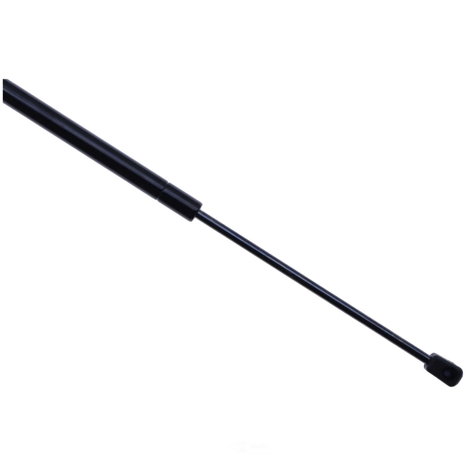 TRW TSG226024 Liftgate Lift Support