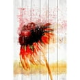 thumbnail image 2 of Parvez Taj Flower 4 White Wood Wall Art, 36" x 24", 2 of 5