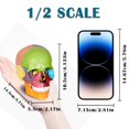 thumbnail image 3 of Modelo de cráneo humano Breesky Anatomy, 15 partes con manual de estudio, 3 of 6