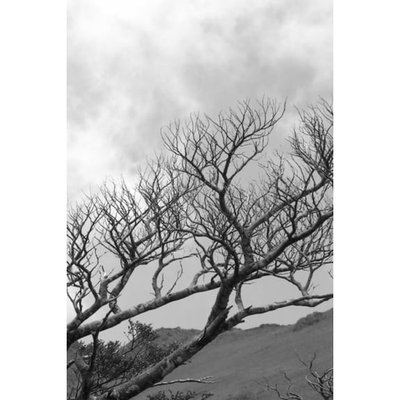 Inspiration 47: The Final Ride (Paperback)