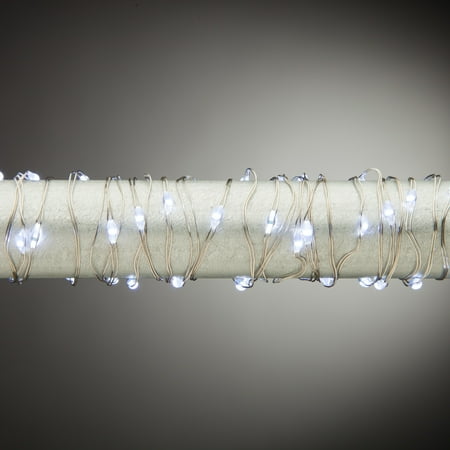 Everlasting Glow 10 Ft. Outdoor Micro LED Light String with 30 White Lights