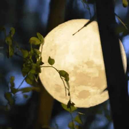 

Kenklcie 3D USB LED Magical Moon Night Light Moonlight Table Desk Moon Lamp Gift C