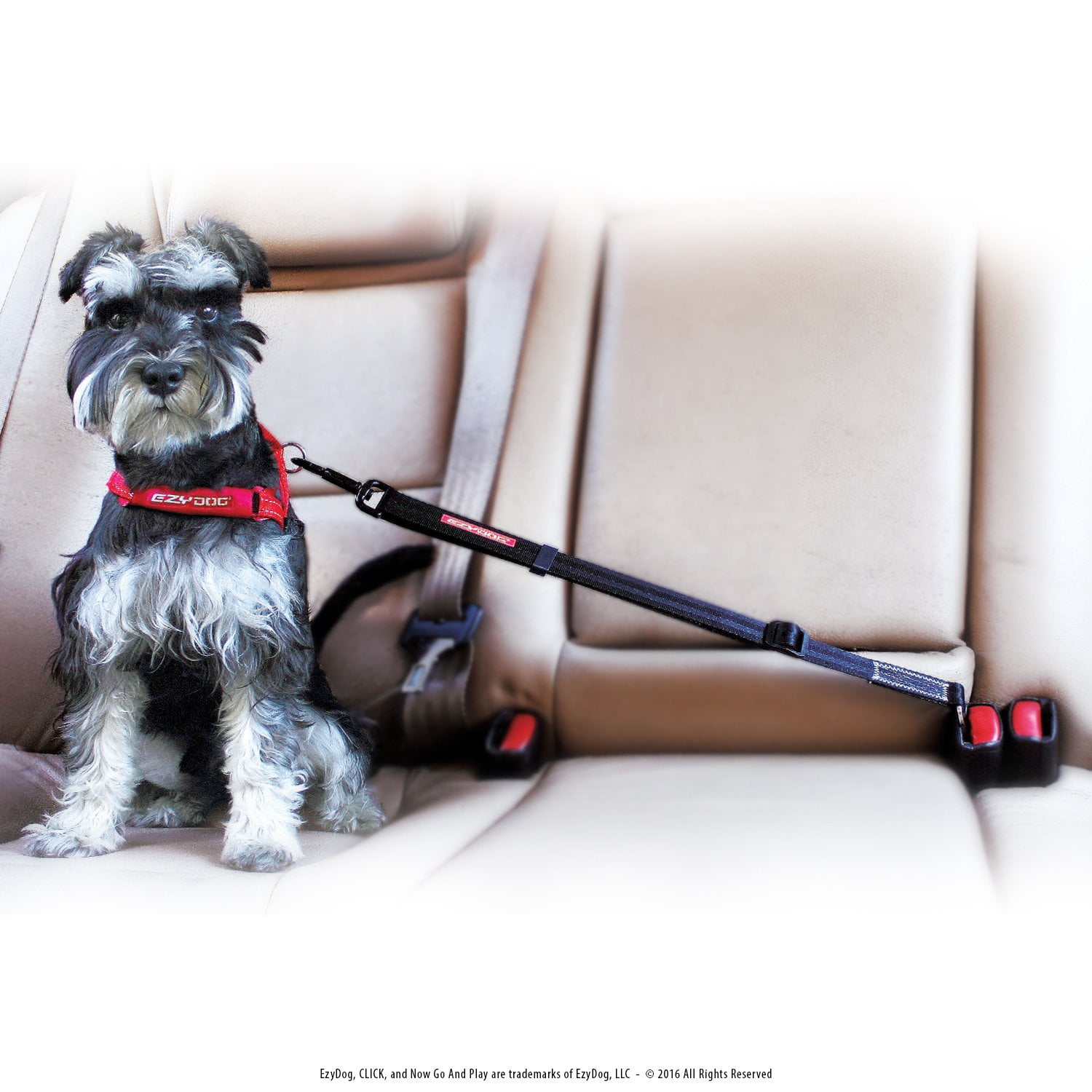Ezydog click best dog seat belt car harness 2025 attachment dogs