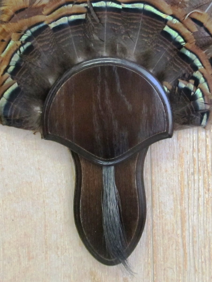 The Taxidermists' Dark Oak Turkey Fan Mounting Kit 02