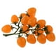 thumbnail image 5 of Pimientos verdes artificiales realistas de plástico, alimentos decorativos. Amarillo, 5 of 9