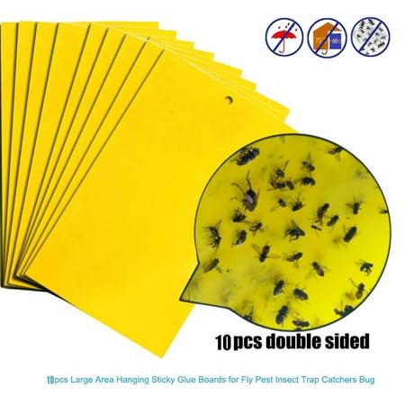 10Pcs Strong Flies Traps Bugs Sticky Board Catching Aphid Insects Pest