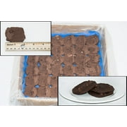 Phillsbury Special Recipe Brownie Cookie Dough, 1.2 Ounce -- 288 per case.