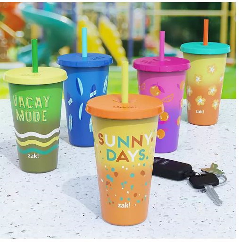 Zak Designs Valentines Day 18 ounce Reusable Plastic Tumbler with Straw and  Sculpted Lid, Soft Serve