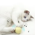 thumbnail image 4 of FUEENIRVA 3Pcs Stimulating Cat Toys For Indoor Cats Assorted Color Increases IQ, 4 of 8