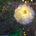 thumbnail image 4 of 2pcs Solar Peony Ground Plug Lamp IP65 Iluminación de jardín a prueba de agua (Jade White) Tmvgtek Para estrenar, 4 of 9