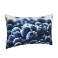 thumbnail image 2 of EasygdpBlueberry Polyester Fiber Double-Sided Pillowcase,Super Soft,Comfortable And Luxurious Pillowcase,Not Easy To Break Or Deform- 20"X30", 2 of 9