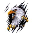 thumbnail image 1 of 3D Eagle Animal Car Stickers, Teardrop Eagle 3D Stereo 3D Car Stickers Eagle Car Styling Car Stickers Eagle Bird Wings Bumper Vinyl Stickers Left Car Stickers TUNC Sencillez, 1 of 5
