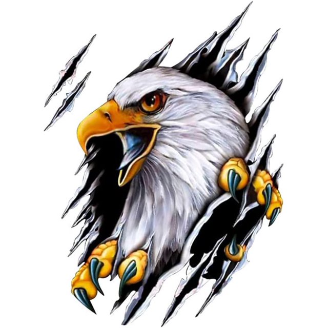 3D Eagle Animal Car Stickers, Teardrop Eagle 3D Stereo 3D Car Stickers Eagle Car Styling Car Stickers Eagle Bird Wings Bumper Vinyl Stickers Left Car Stickers TUNC Sencillez