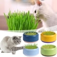 thumbnail image 2 of 1* Cat Snack Cat Mint Planting Hydroponic Box Cat Grass Pot Cat UK Grass B4T8, 2 of 8