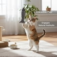 thumbnail image 4 of Cat Toys Interactive Saury Fish, Interesting Catnip Toys Fish, 1 Pack Catnip Toys Crinkle Sound Soft and Durable, Stimulating Cat Kicker Toys for Indoor Kitten Exercise 7.48 Inches for All Breeds, 4 of 9