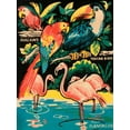 thumbnail image 2 of Retrotravel 12x14 White Modern Wood Framed Museum Art Print Titled - Tropical Hobbyland - Birds, 2 of 4