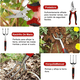 thumbnail image 3 of Kit de Jardineria Herramientas BLOOSOM Juego Jardín Plantar 82pcs, 3 of 5