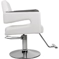 thumbnail image 4 of Silla Estetica Barberia Hidraulica Neumatica Ajustable Salon, 4 of 6