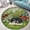 Cat, variant on Circle Area Rug, Pheasant Washable Non-Slip Floor Carpet, Soft Rug for Living Room Bedroom Decor 24 Inch