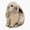 1pcs, variant on Cute Holland Lop Rabbit Mom Lop Bunny Dad Of A Lop Eared Bunny Er, Phone Decal Water Bottle Stickers Car Decals, Funny Birthday Gift