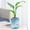 Blue, variant on 100Fens Self-absorbing Lazy Transparent Water Storage Mess Cultivation Small Potted Flower Pots, Indoor Living Room Desktop Water Storage Mess Cultivation Plastic Flowe