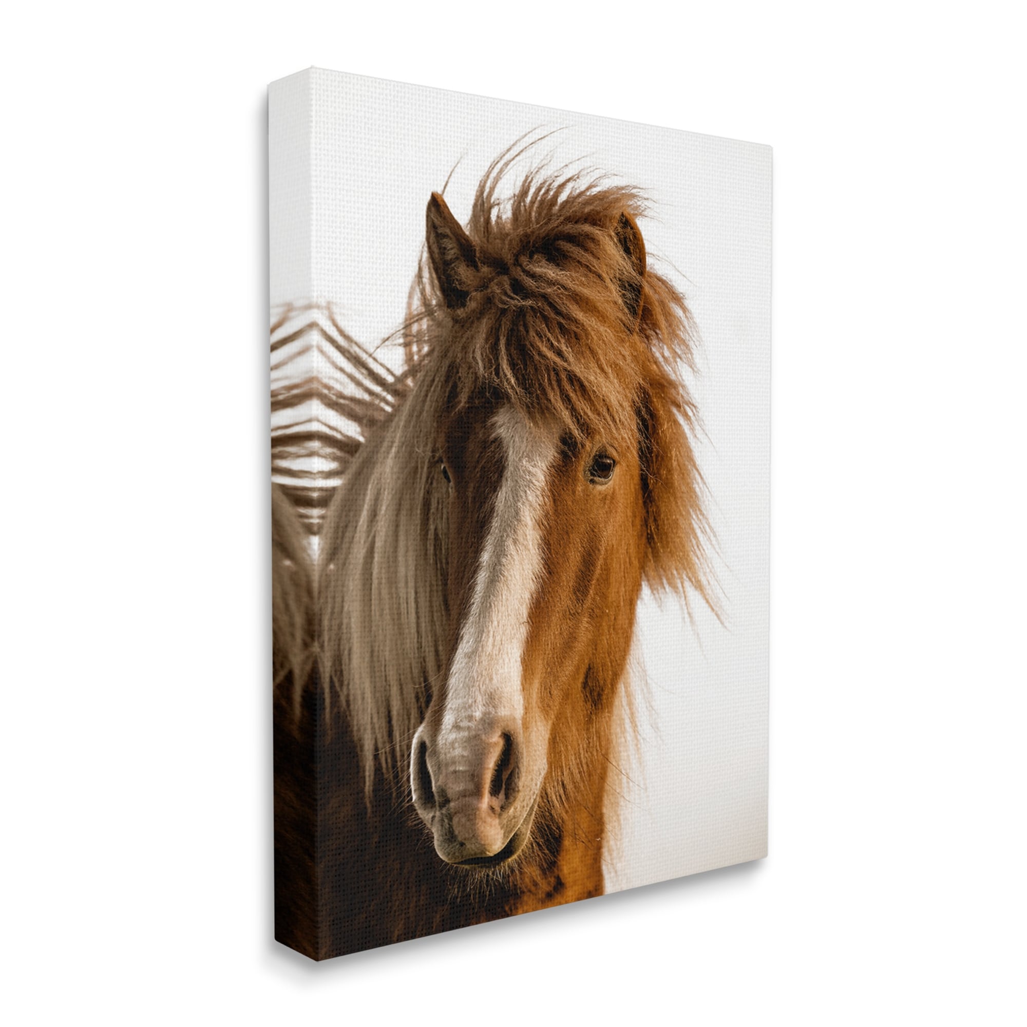 Stupell Industries Long Mane Horse Equestrian Portrait Brown Animal Photograph, 24 x 30, Design by Danita Delimont