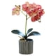 thumbnail image 5 of Advancent Orquídea artificial Bonsai Simulación en maceta Phalaenopsis Home Office Type1 NO1, 5 of 6