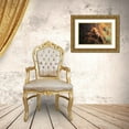 thumbnail image 3 of Saavedra Ruiz, Sergio 14x11 Gold Ornate Wood Framed with Double Matting Museum Art Print Titled - Bear Portrait, 3 of 4