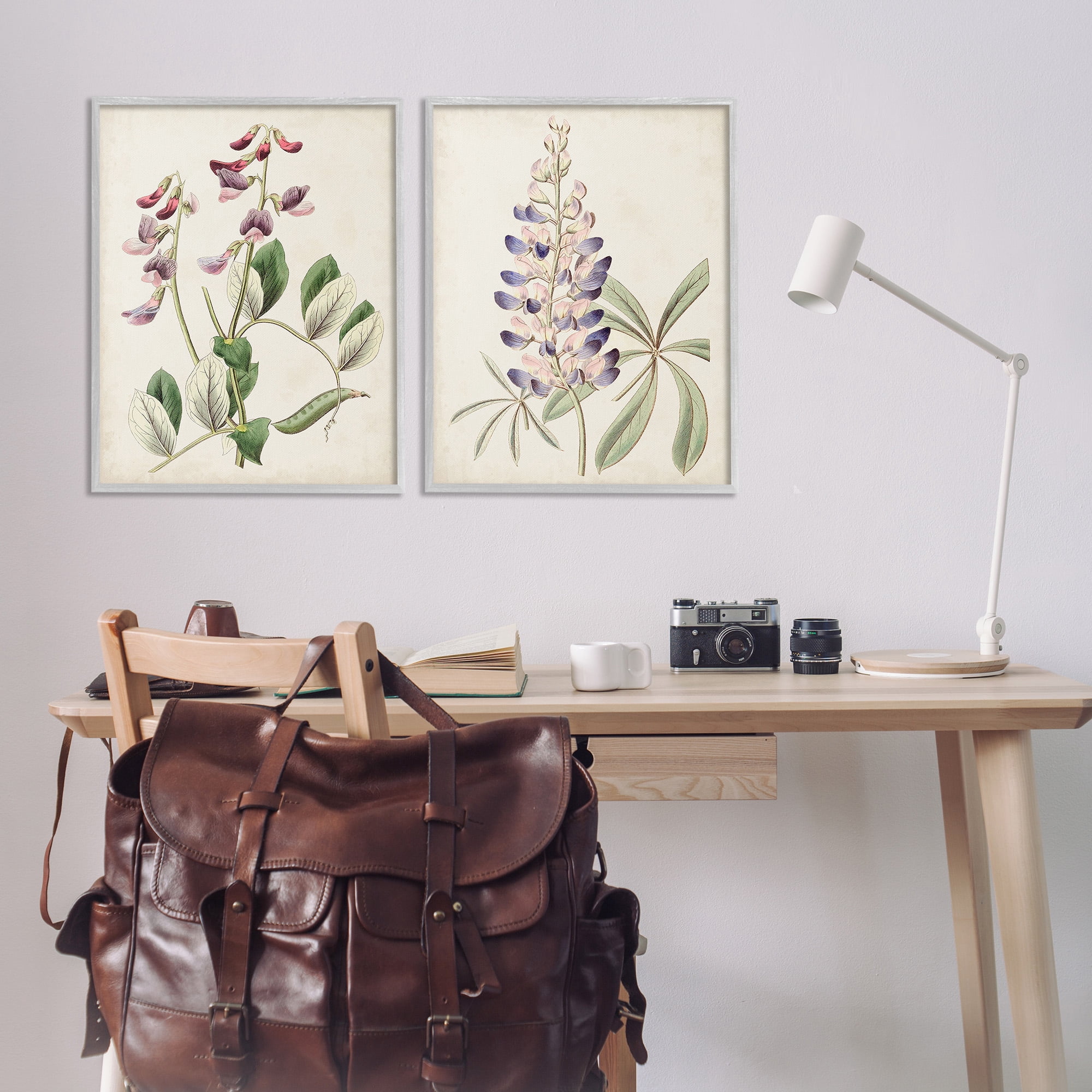 Stupell Industries Foxglove Latin Studies Botanical & Floral Painting Gray Framed Art Print Wall Art, 24 x 30, Set of 2