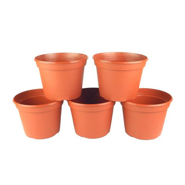 Poppelmann TO21CH2175 Pot en Terre Cuite Ronde en Plastique de 8 Po - Pack de 5