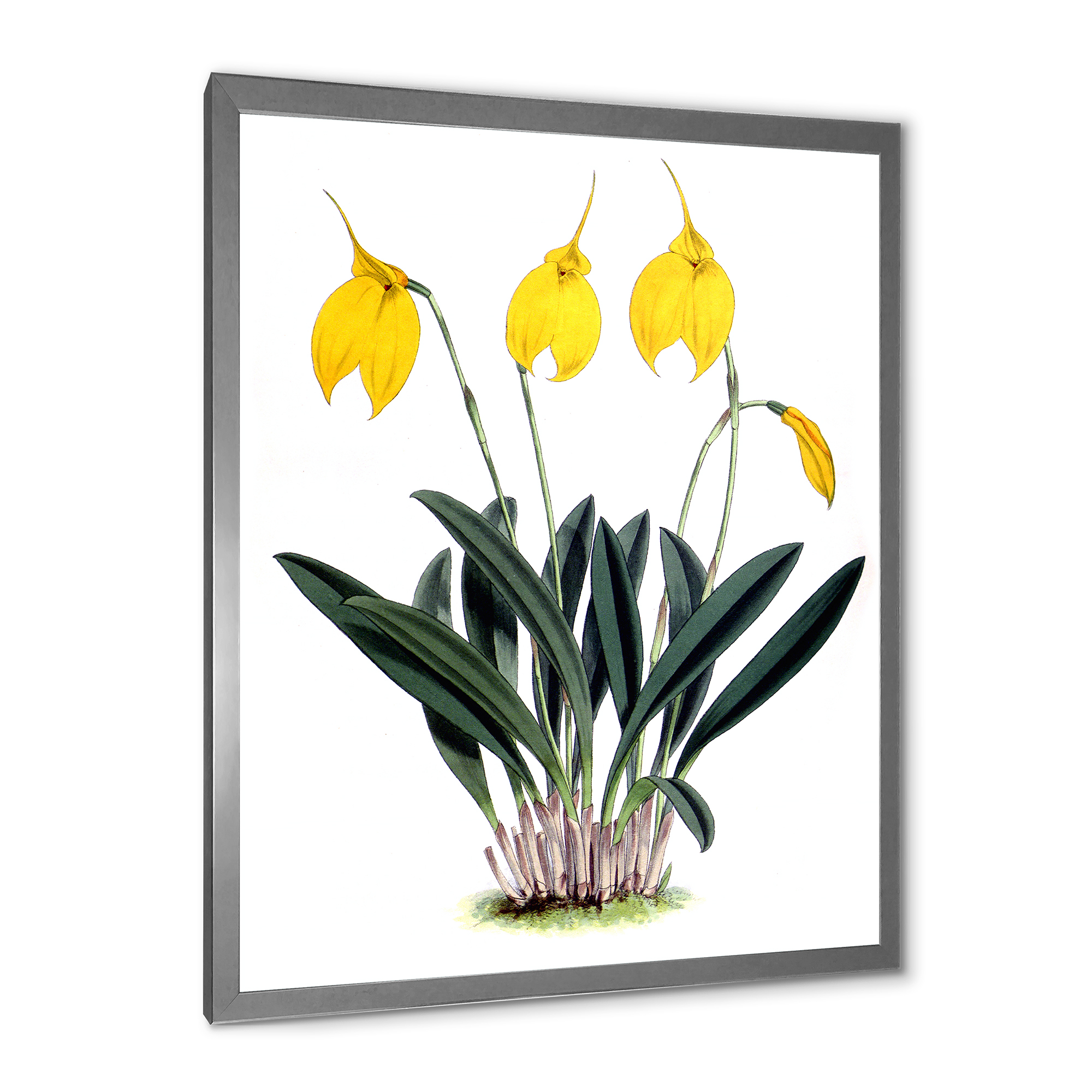 Designart 'Orchid Retro Flowers' Farmhouse Framed Art Print
