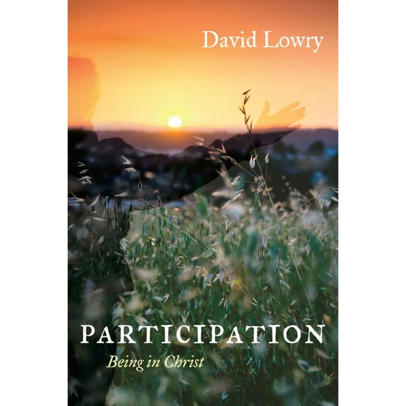 Participation (Paperback)