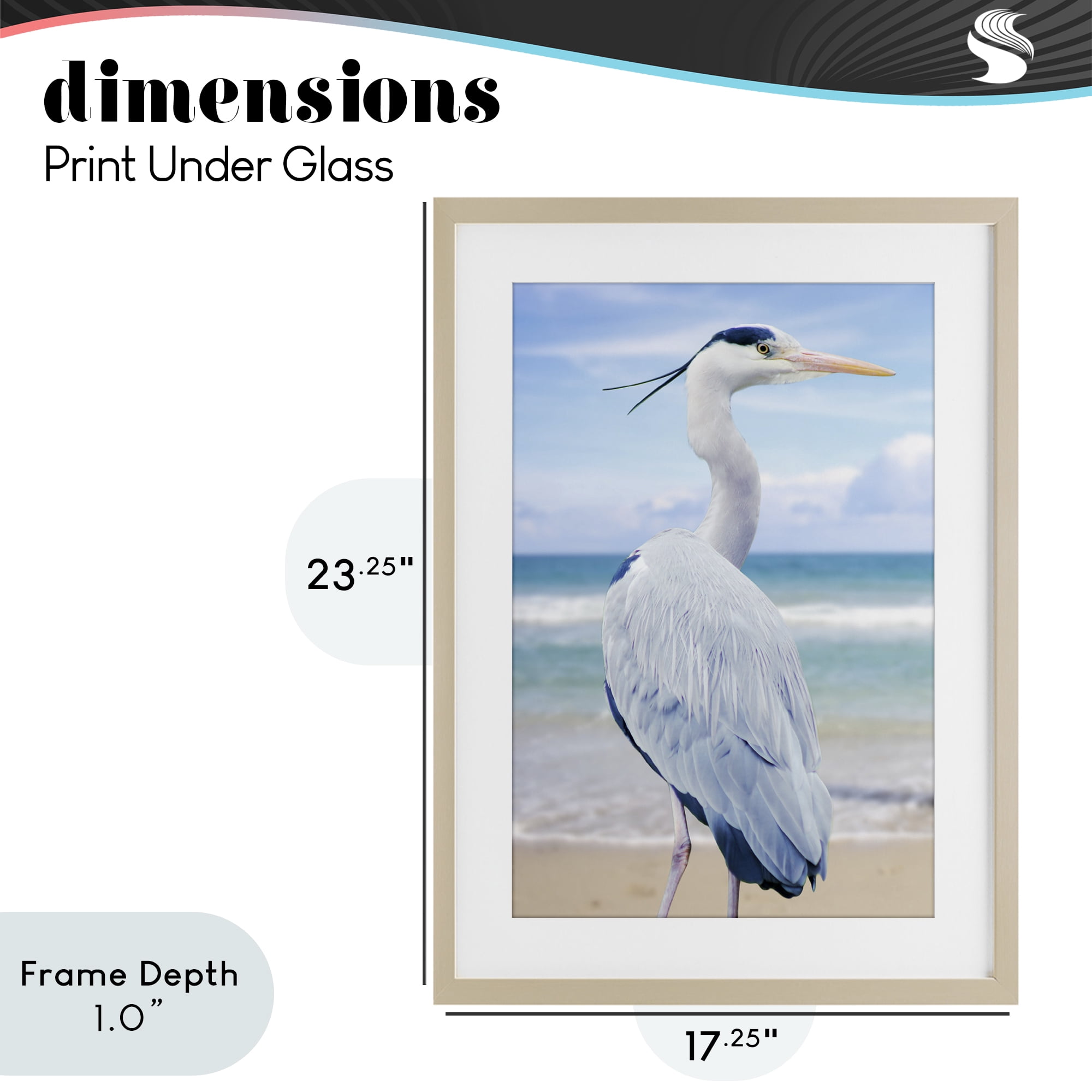 Stupell Industries Vacationing Heron by Seaside Birch Framed Print Under Glass, design by Marcus Prime