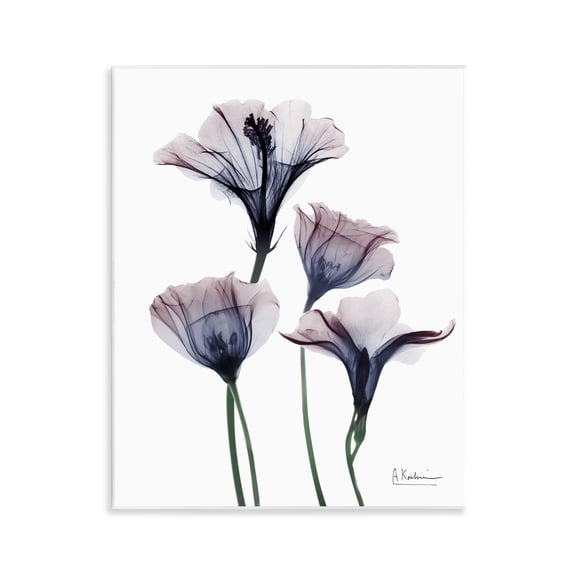 Stupell Industries Bountiful Dusk Flowers Floral Photography Unframed Art Print Wall Art, 11 x 14